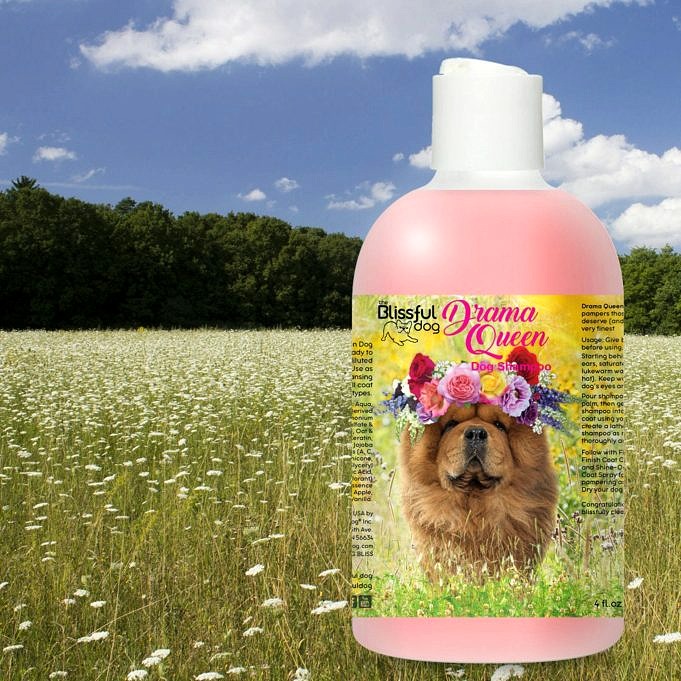 5 Migliori Shampoo Per Cani Recensioni 2022 -'s Finest