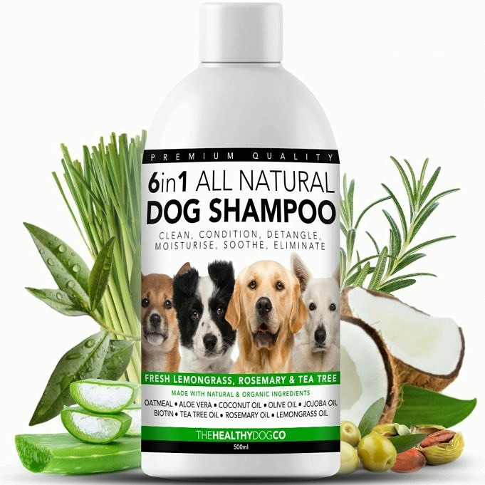 Il Miglior Shampoo Per Cani Per La Pelle Pruriginosa